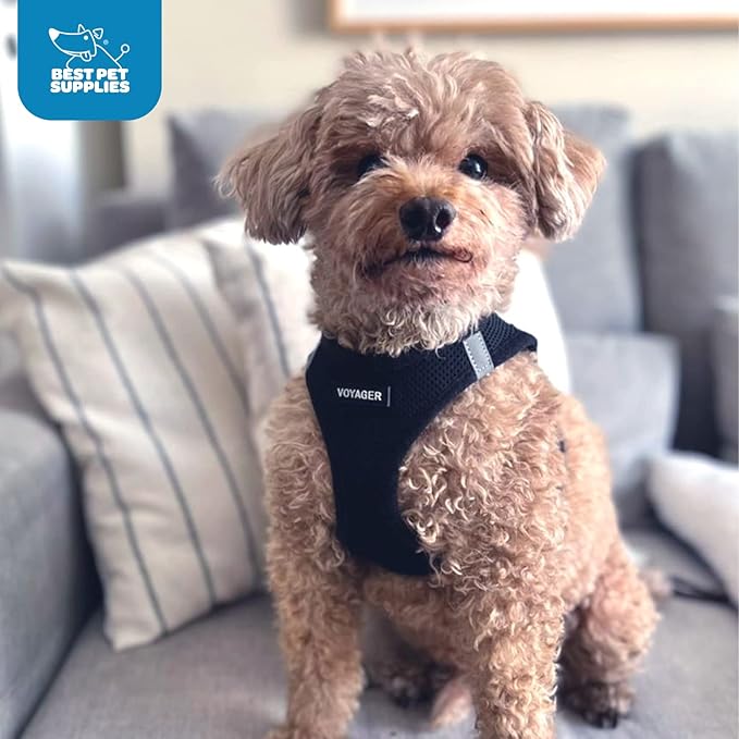 Voyager Step-in Air Dog Harness - All Weather Mesh, Reflective, No Pull Harness for Small, Medium Dogs, Cats - Secure with Hook & Loop Fastener, Buckle, Double D-Rings - Black, XXXS