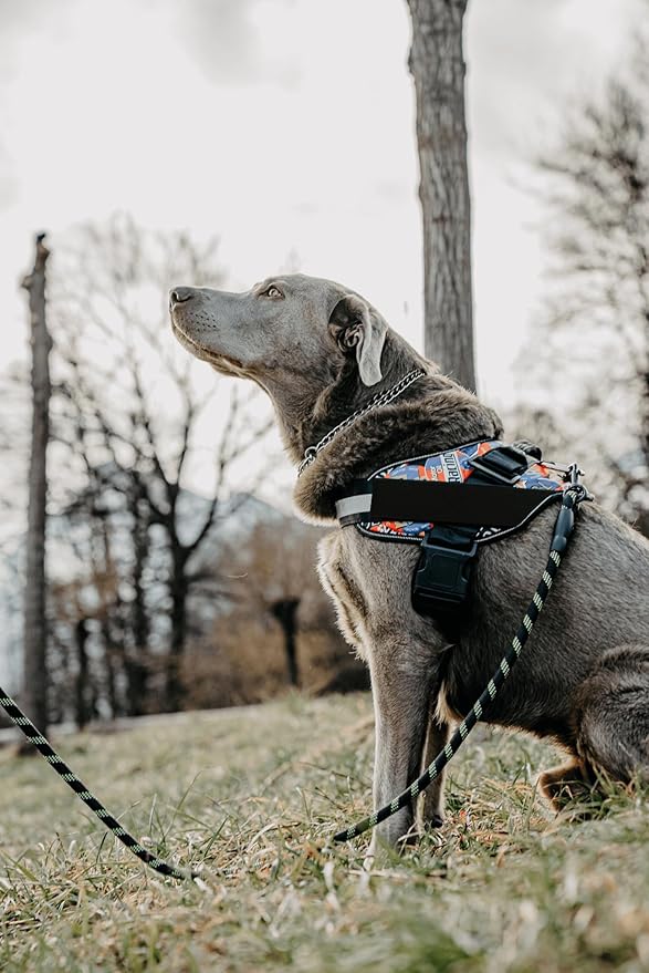 Non Pull Dog Harness with Patch Panels and Handle, Adjustable, Reflective, No Choke, Heavy Duty Easy On Service Dog Vest Harnesses for Medium Large Small Sized Dogs - Military Desert, XS