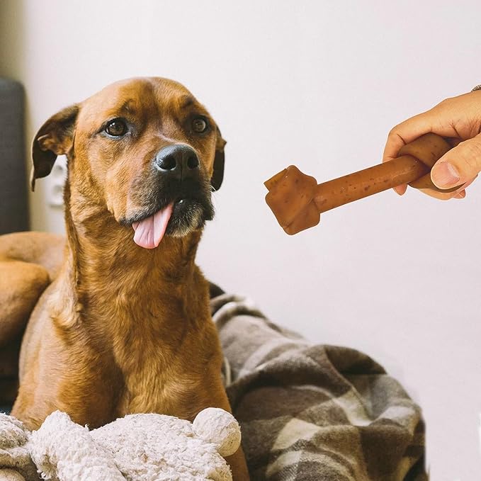 Jungle Calling Rawhide Free Dog Treats, Peanut Butter Bones, 6.5'' Dog Chews for Medium Dogs and Large Dogs (Peanut Butter),4 Count (Pack of 1)