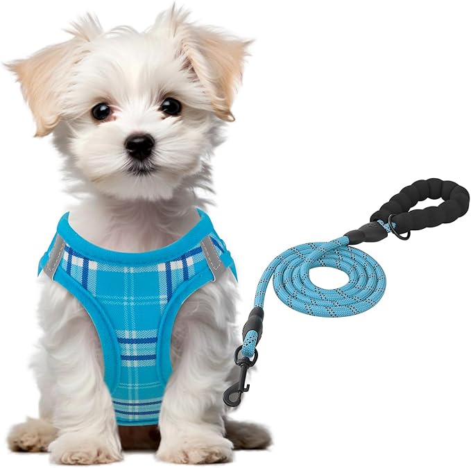 Athena Collection Small Dog Harness with 5 ft Leash, Step-in Dog Harness Leash Set Extra Small No Pull Dog Vest Harness with Reflective Strips Adjustable Velcro, Easy Walk Puppy Harness, Blue