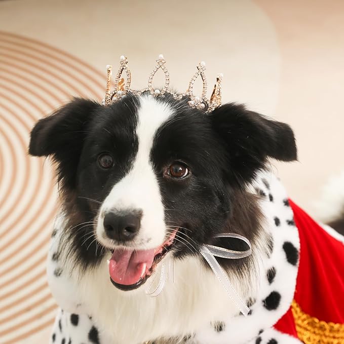 Lovelyshop Pet Series Gold Plated Royal Rhinestone Pearl Full Round Dog/Cat Crown for Rolyal Family Costume Hair Accessories-Large Size