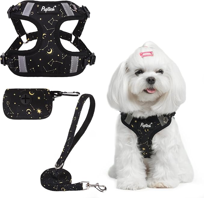 PUPTECK No Pull Dog Harness and Leash Set Reflective No Choke Step in Puppy Halter for XS Small and Medium Sized Dogs, Black, Printed Fabric, S
