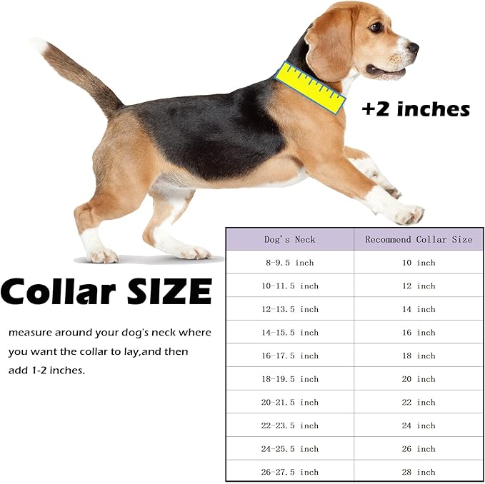 Strong Stainless Steel Silver Cuban Link Chain Dog Collar,Pet Necklace Walking Collar for Small Medium Dogs(Length - 14'')