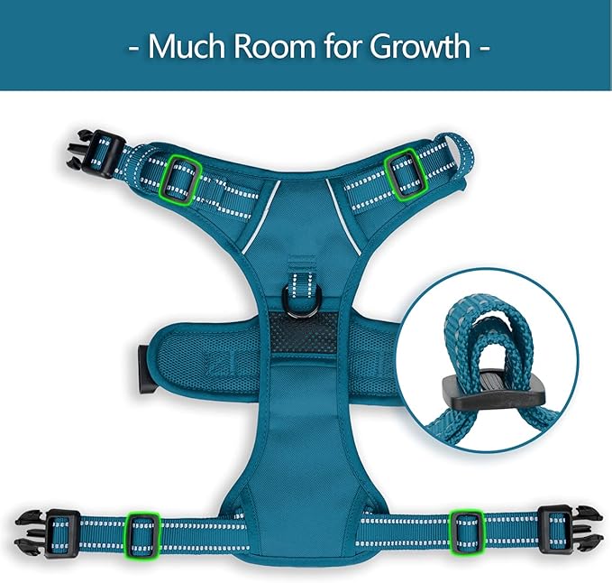 PoyPet No Pull Dog Harness, No Choke Reflective Dog Vest, Adjustable Pet Harnesses with Easy Control Padded Handle for Small Medium Large Dogs(Tumalo Teal,M)