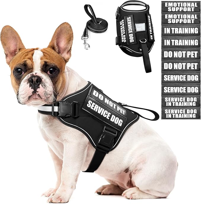 WINSEE Dog Harness & Leash Set, Medium, Black - Reflective, Adjustable, W/ 10 Patches for Service, Therapy Dogs, Extra Durable