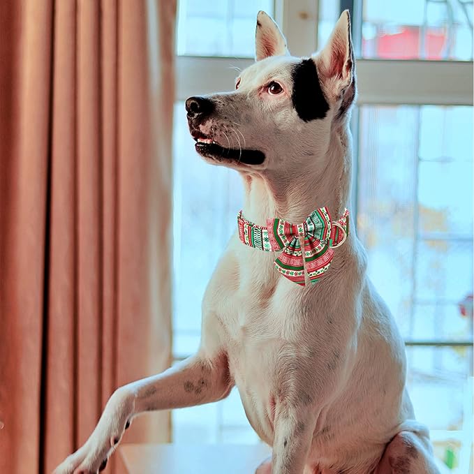 MR. CHUBBYFACE Christmas Plaid Dog Collar for Boy Girl Dogs Adjustable Red Green Dog Collar Sailor Bow tie for Small Medium Large Dogs