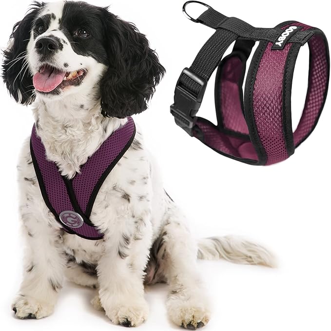 Gooby Comfort X Head In Harness - Purple, Small - No Pull Small Dog Harness Patented Choke-Free X Frame - Perfect on the Go Dog Harness for Medium Dogs No Pull or Small Dogs for Indoor and Outdoor Use
