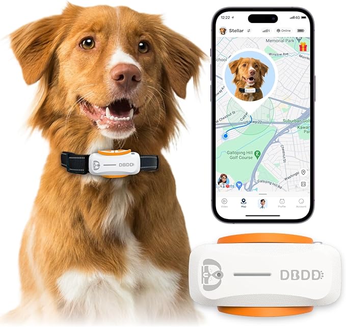 AI GPS Tracker for Dogs (30lbs+), Real Time Location and AI Vet Health Management, Electronic Fence, Waterproof, iOS and Android Universal(White)