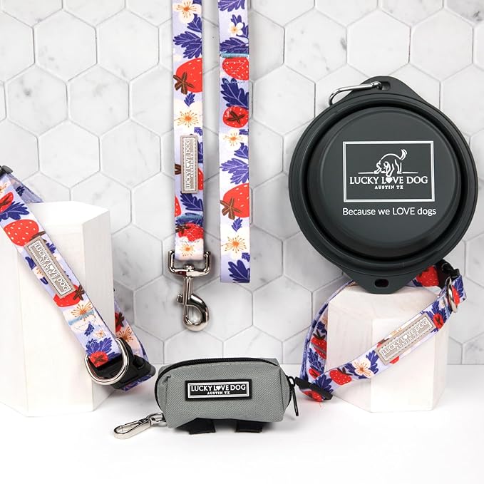 Lucky Love Dog Martingale Collar and Leash Set, Premium Fun Girl No Slip Collars, Strawberry Martingale Dog Collar and Leash Set, Great for Whippets, Greyhounds, and More (Sweet Berry, Medium - Combo)