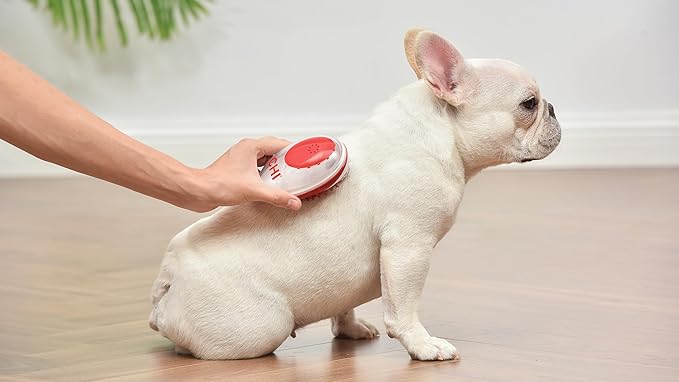 CHI for Dogs Soap Dispensing Palm Brush for Dogs | Dog Grooming Brush with Soap Dispenser | Hand Tool for Dog Grooming