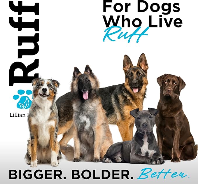 Ruff by Lillian Ruff Sandalwood Coconut Oatmeal Conditioner for Dogs – Moisturizes & Soothes Dry Itchy Skin, Promotes Healthy Coat, Gluten-Free, Tear-Free, Sulfate-Free, Paraben-Free, Made in USA