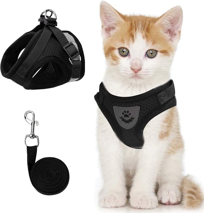 Cat Vest Harness and Small Dog Vest Harness for Walking, All Weather Mesh Harness, Cat Vest Harness with Reflective Strap, Step in Adjustable Harness for Small Cats (Black, S)