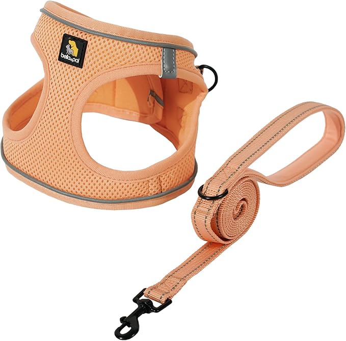 BELLA & PAL Puppy Harness with Leash Set, Dog Harness for Small Dogs No Pull, Dog Leash for Small Dogs, Step in Harness for Extra Small Dogs, Peach Harness, XXS