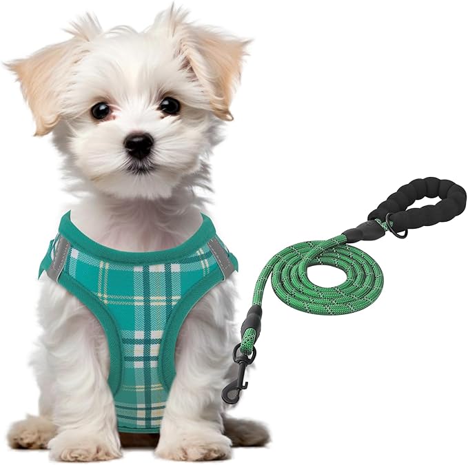 Athena Collection Small Dog Harness with 5 ft Leash, Step-in Dog Harness Leash Set Extra Small No Pull Dog Vest Harness with Reflective Strips Adjustable Velcro, Easy Walk Puppy Harness, Green