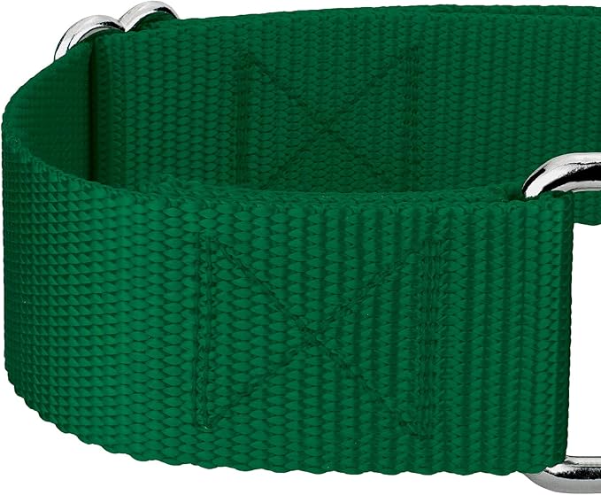 Country Brook Petz 1 1/2 Inch Martingale Heavy Duty Nylon Adjustable Dog Collar for Small, Medium, Large Breeds - Vibrant 17 Color Selection (Green, Extra Large)