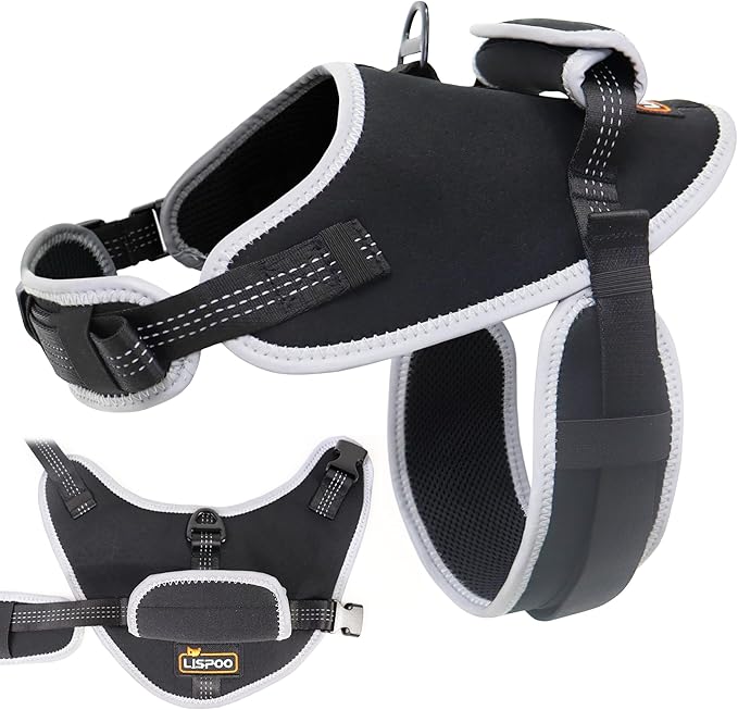 Reflective No Pull Dog Harness for Large Dogs, Easy Control Dog Vest Harness, Breathable Mesh Harness, Comfortable and Adjustable, Metal Ring and Control Handle, Black XL