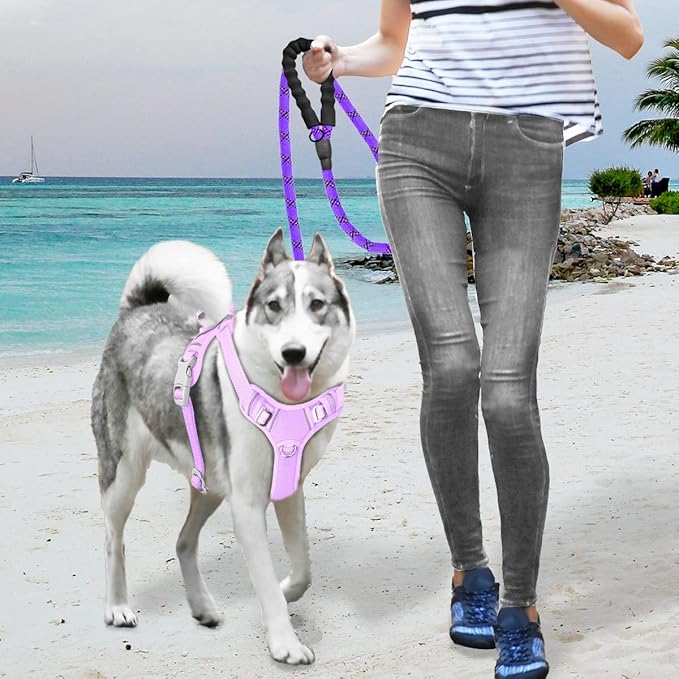 BARKBAY No Pull Dog Harness Large Reflective Dog Harness with Front Clip and Easy Control Handle for Walking Training Running with ID tag Pocket(Violet Purple,S)