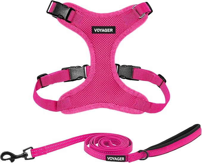 Voyager Step-in Lock Dog Harness w Reflective Dog Leash Combo Set with Neoprene Handle 5ft - Supports Small, Medium and Large Breed Puppies/Cats by Best Pet Supplies - Fuchsia, XS