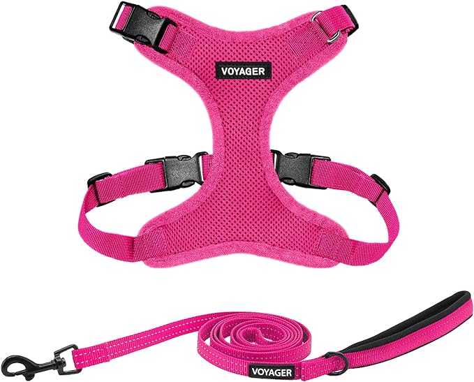 Voyager Step-in Lock Dog Harness w Reflective Dog Leash Combo Set with Neoprene Handle 5ft - Supports Small, Medium and Large Breed Puppies/Cats by Best Pet Supplies - Fuchsia, S