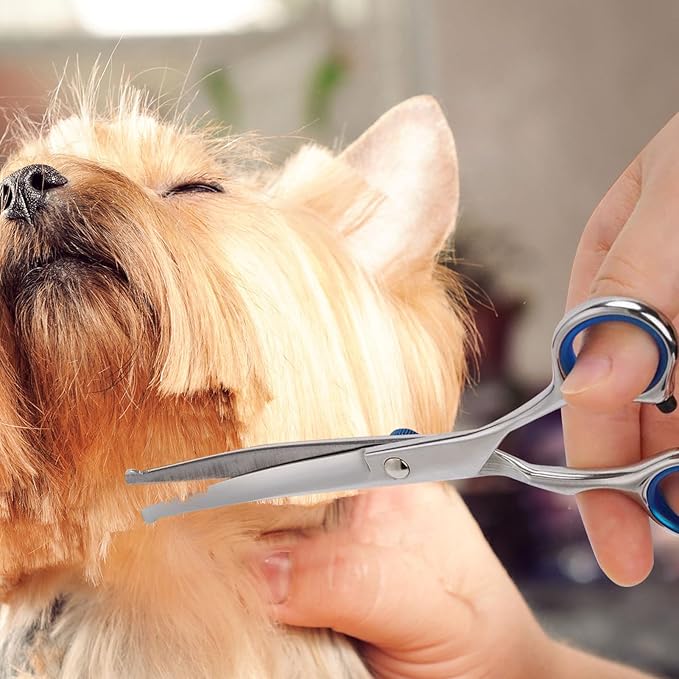 Curved Dog Grooming Scissors with Safety Round Tips, Light Weight Professional Pet Trimming Grooming Shears 4CR Stainless Steel for Nose Hair,Ear Hair,Face Hair,Paw Hair for Dogs and Cat