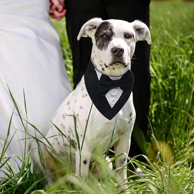 FUAMEY Tuxedo Bandana Collar With Bow Tie, Wedding Attire, Birthday Costume, Valentines Outfit for Small Medium Large Dogs, Black XL