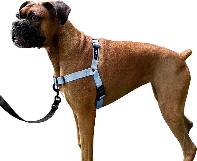 ShawnCo Dream Walk No-Pull Dog Harness- Adjustable, Comfortable, Easy to Use Pet Halter to Help Stop Pulling for Small, Medium and Large Dogs (Moonglow, S)