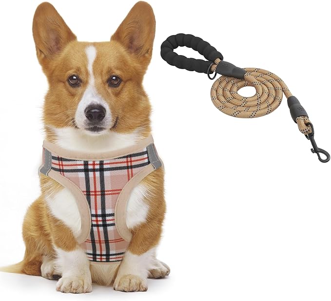 Athena Collection Step-in Dog Harness with 5 ft Leash, Small to Medium Dog Harness Leash Set Medium No Pull Dog Vest Harness with Reflective Strips Adjustable Velcro, Easy Walk Puppy Harness, Beige