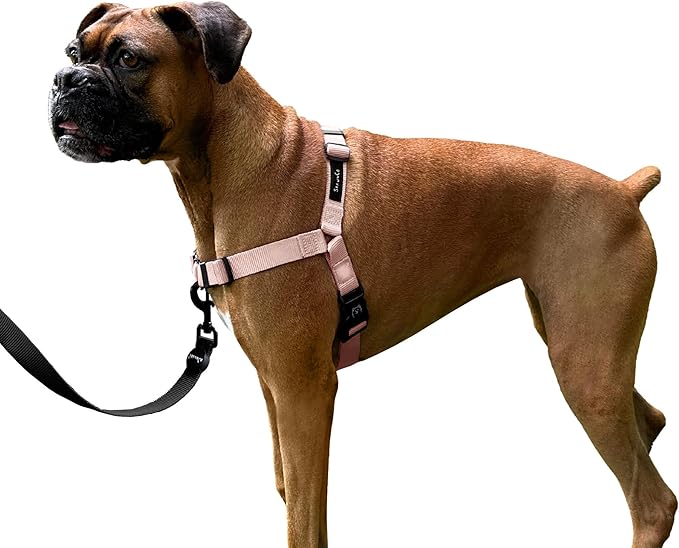 ShawnCo Dream Walk No-Pull Dog Harness- Adjustable, Comfortable, Easy to Use Pet Halter to Help Stop Pulling for Small, Medium and Large Dogs (Rose Gold, S)