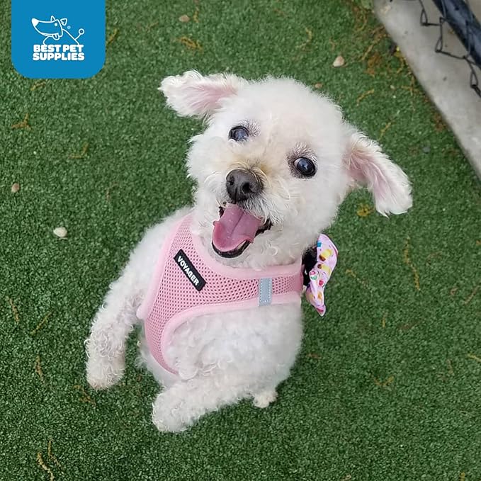 Voyager Step-in Air Dog Harness - All Weather Mesh, Reflective, No Pull Harness for Small, Medium Dogs, Cats - Secure with Hook & Loop Fastener, Buckle, Double D-Rings - Pink, S