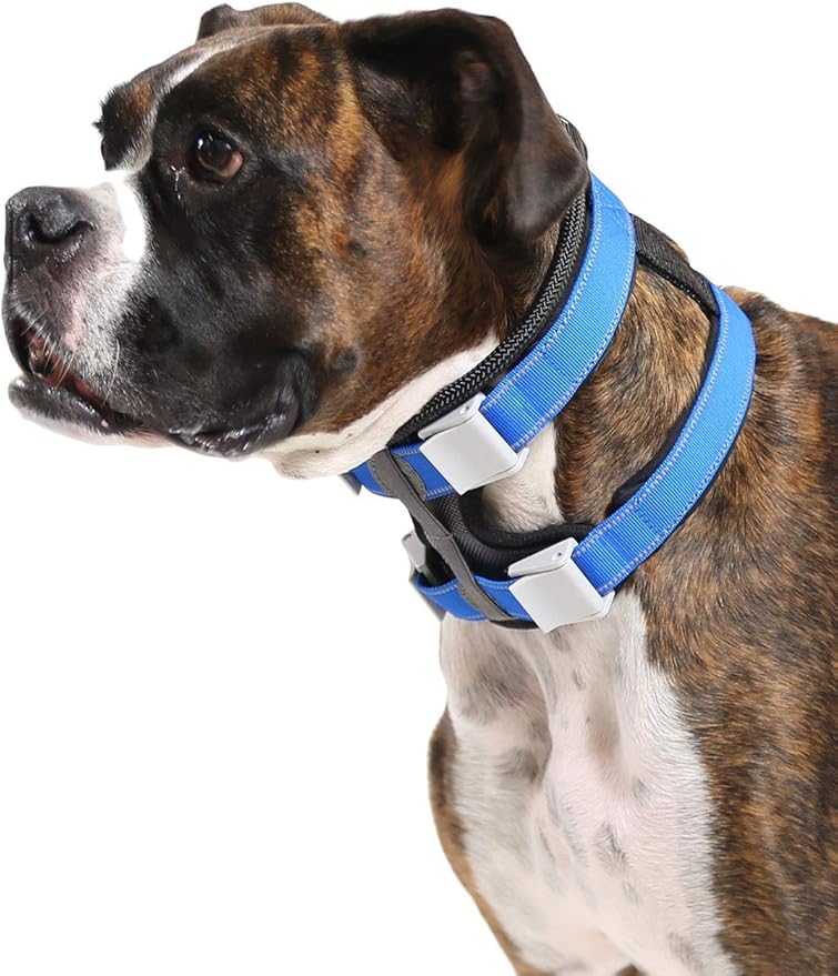 Cesar Millan Pack Leader Collar™ - Training Collar of The Dog Whisperer (Large, Grey)