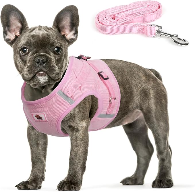 FEimaX Dog Harness and Leash Set, No Pull Reflective Adjustable Pet Harnesses for Puppy Kitten Soft Corduroy Chest Harness for Small Medium Dogs and Cats Easy Control Vest for Outdoor Walking
