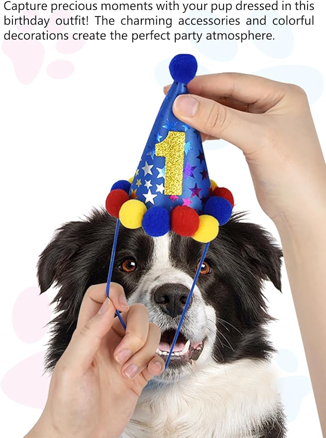 Niura Dog Birthday Party Supplies - Pet Hat, Bandana Scarf, Cute Bow Tie, Happy Birthday Banner, Paw Balloons, Numbers - Doggie Birthday Decorations for Small & Medium Dogs - Blue
