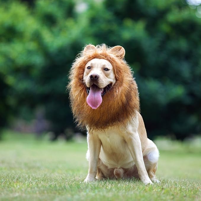 Realistic & Funny Lion Mane for Dogs Complementary Lion Mane for Dog Costumes for Medium to Large Sized Dogs Costumes for Animals