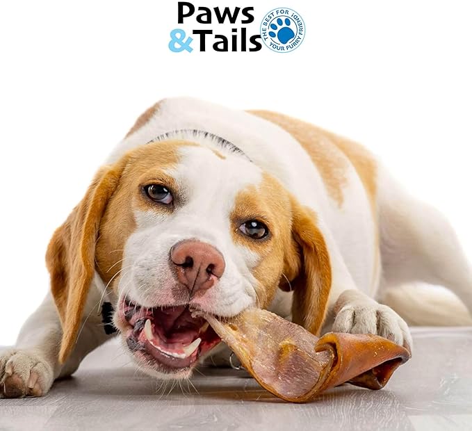PAWS&TAILS Premium All-Natural Pig Ears for Dogs - Joint Health Support, Thick-Cut - High-Protein, Low-Fat Treats for Dental Hygiene - No Additives or Preservatives. (12, Natural Whole Pig Ears)