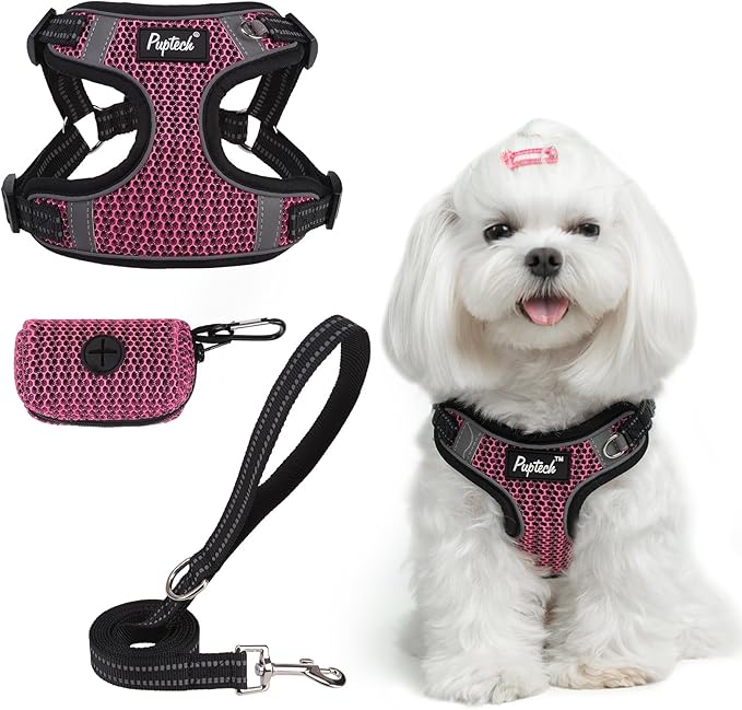 PUPTECK No Pull Dog Harness and Leash Set Reflective No Choke Step in Puppy Halter for XS Small and Medium Sized Dogs, HotPink, Breathable Mesh, S