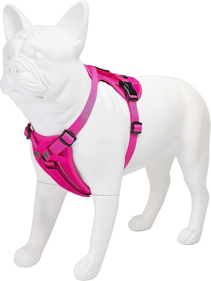 Voyager Freestyle 4-in-1 Dog Harness - Patent Pending Adjustable Webbing Harness with Removable Padding for Small to Large Dogs by Best Pet supplies - Fuchsia, L