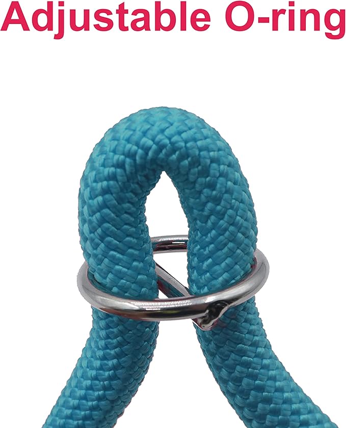 Braided Rope Collar, Pro Training Dog Collar, No Pull Round Martingale Collar, Slip Collar with Slidable Stop Ring - Ideal for Extra Small Dogs (XS (1/4") - 14" Long, Light Blue)