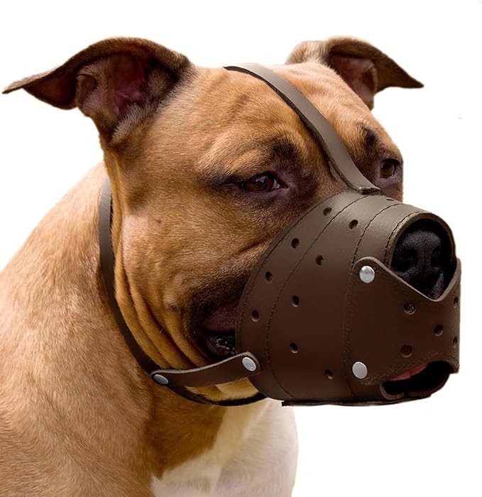 CollarDirect Leather Basket Dog Muzzle for German Shepherd Staffordshire Terrier Pitbull Medium Large Breeds Training, Anti-Barking, Biting, Chewing (Brown)