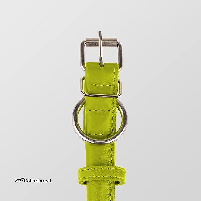 CollarDirect Rolled Leather Dog Collar, Soft Padded Round Puppy Collar, Handmade Genuine Leather Collar Dog Small Large Cat Collars 13 Colors (6-7 Inch, Lime Green Textured)