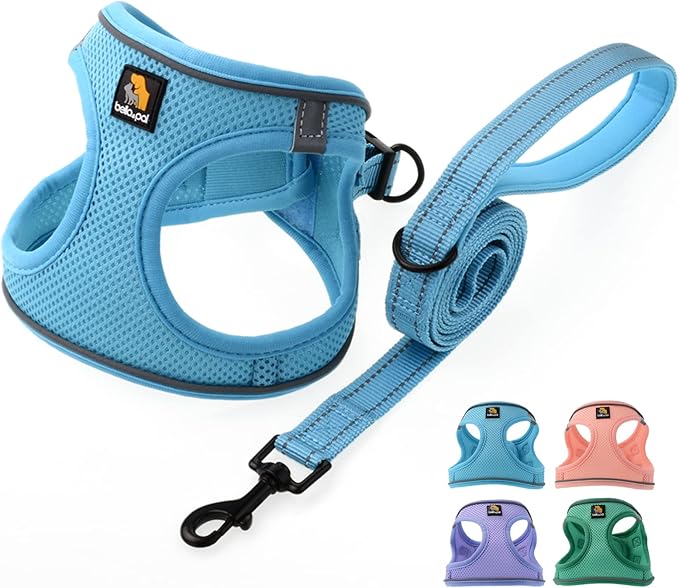 BELLA & PAL Puppy Harness with Leash Set, Dog Harness for Small Dogs No Pull, Dog Leash for Small Dogs, Step in Harness for Extra Small Dogs, Blue Harness, S