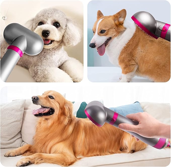 Dog Hair Dryer | 2 in 1 Pet Grooming Hair Dryer Blower with Replaceable Slicker Brush | Adjustable Temperature | Professional Pet Blowing Dryer | for Small and Medium Dogs and Cats