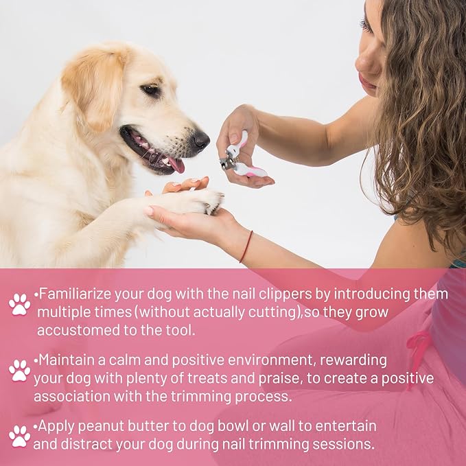 Dog Grooming Scissors with Safety Round Tip Pet Grooming scissors Kit Dog Shears kit Incudes Thinning Curved Straight Grooming Scissors Nail Clippers Nail File and Comb for dogs cats