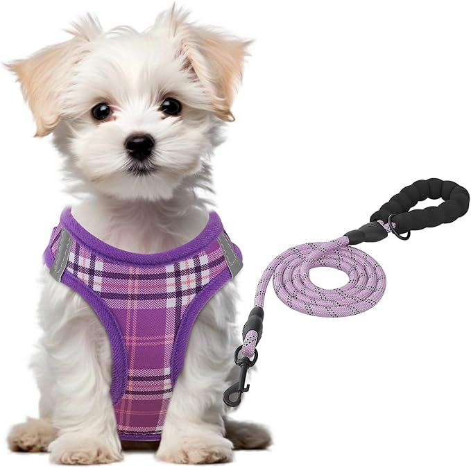 Athena Collection Small Dog Harness with 5 ft Leash, Step-in Dog Harness Leash Set Extra Small No Pull Dog Vest Harness with Reflective Strips Adjustable Velcro, Easy Walk Puppy Harness, Purple