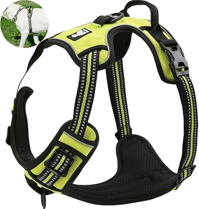 OLizee® New No Pull Dog Harness Outdoor Adventure Reflective Markings Pet Vest with Handle Adjustable Protective Nylon Walking Pet Harness Variety of Sizes and Colors,Green XS