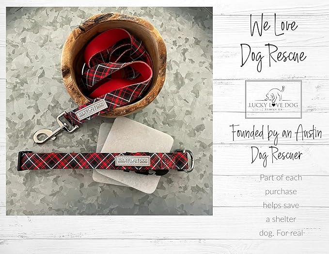 Lucky Love Dog, Evergreen No Slip Dog Collar and Leash Set, Vivid Berry Plaid Martingale Dog Collar for Boy and Girl Dogs - (Small, Heywood Martingale - Combo)