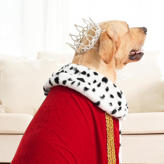 Lovelyshop Pet Series Silver Plated Royal Rhinestone Pearl Full Round Dog/Cat Crown for Rolyal Family Costume Hair Accessories-XLarge Size