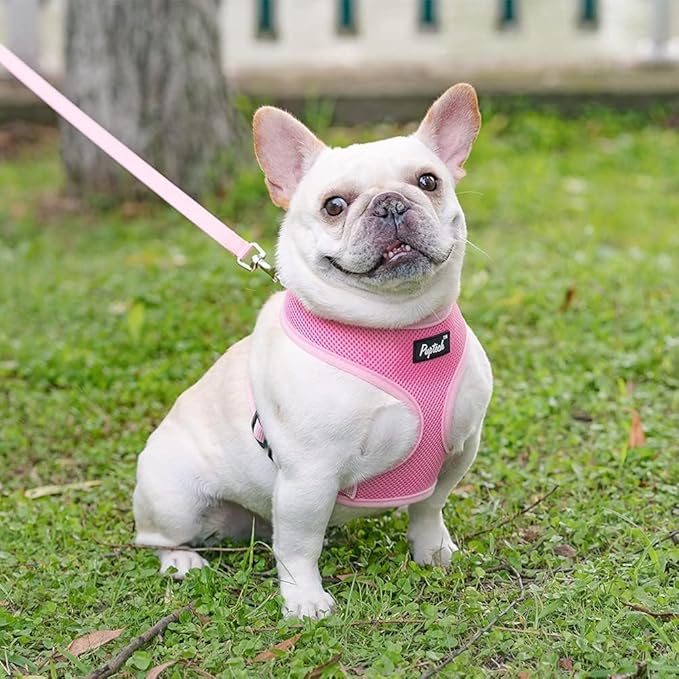 PUPTECK Soft Mesh Dog Harness and Leash Set Pet Puppy Cat Comfort Padded Vest No Pull Harnesses, Solid Pink, M