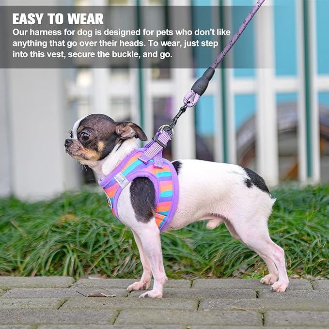 BEAUTYZOO Dog Harness and Leash Set for Small Dogs,No Pull Step-in Harness for Puppy XS S Sized Dogs and Cats,Air Mesh Adjustable Breathable Soft No Chock Escape Proof Vest Harness,Striped Purple XXS