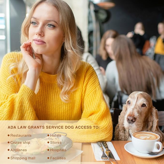 No Noise Stainless Steel K9 ESA Dog Tags, Slide on Dog Collar or Harness Quickly and Securely â PVD Gold/Medium