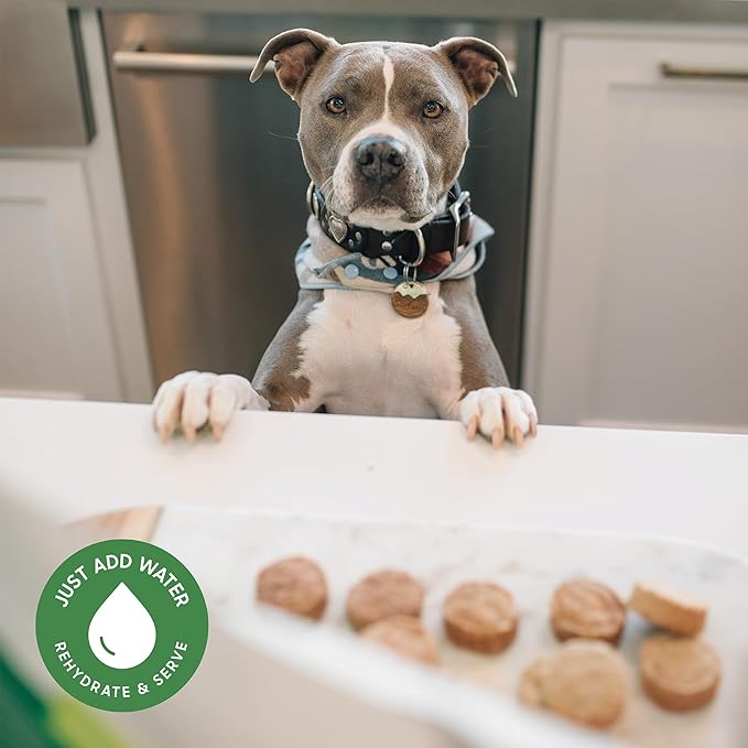 Smallbatch Pets Freeze-Dried Premium Raw Food Diet for Dogs, Chicken Recipe, 14 oz, Made in The USA, Organic Produce, Humanely Raised Meat, Hydrate and Serve Patties, Single Source Protein, Healthy